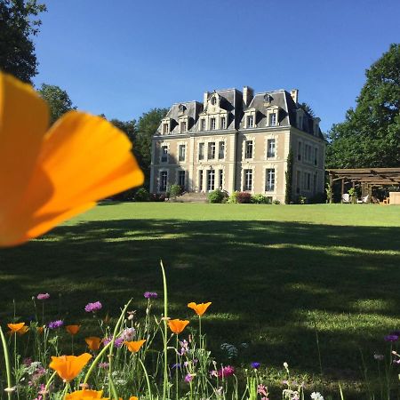 Chateau Des Essards Avec Piscine Et Jacuzzi Langeais Exteriör bild