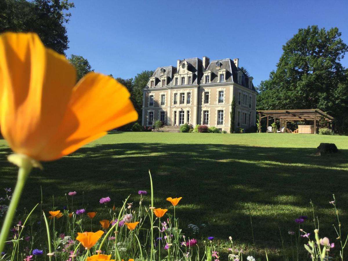Chateau Des Essards Avec Piscine Et Jacuzzi Langeais Exteriör bild